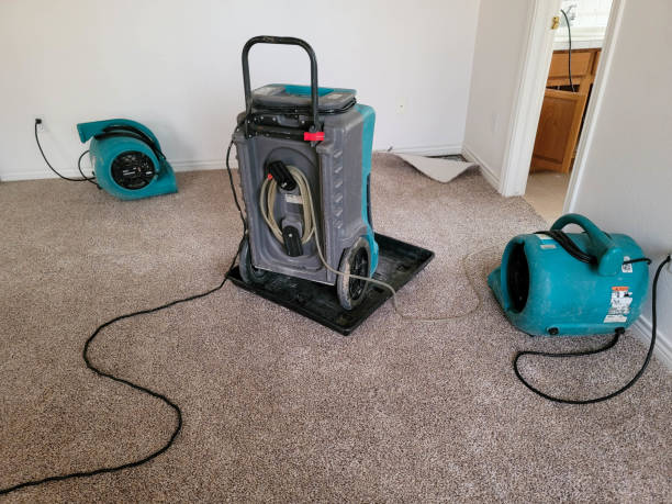 Best Fire Damage Restoration  in Rush Springs, OK