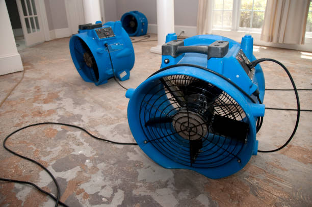 Best Water damage cleanup near me  in Rush Springs, OK