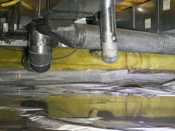 Best Professional water damage repair  in Rush Springs, OK